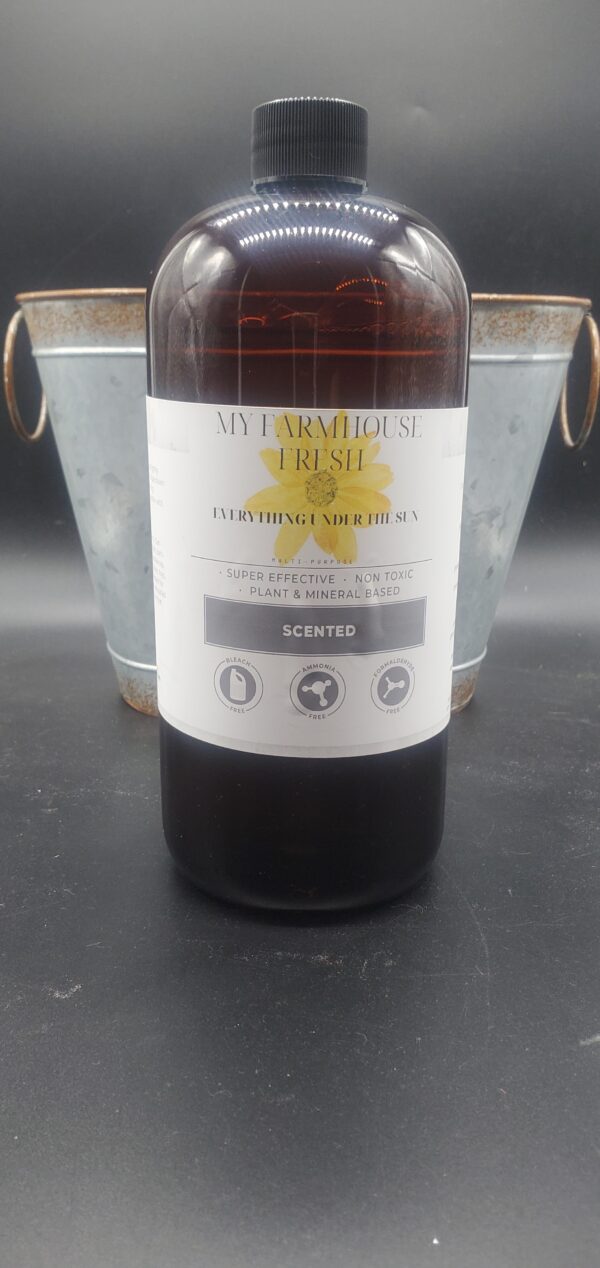 Everything Under the Sun 32oz Concentrate Only